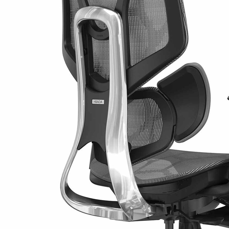 HBADA E3 Ergonomic Chair Pro